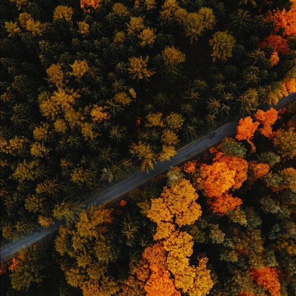 Meet your Posher, Virginia - Picture 3 of 3